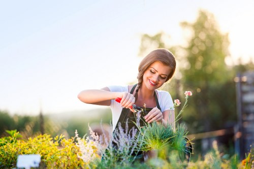 Professional tree surgery safety planning in Chelsea