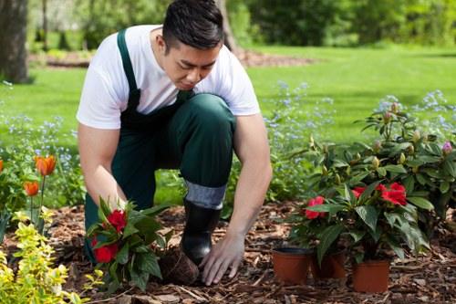 Pre-work safety assessment for arboricultural operations and equipment inspection