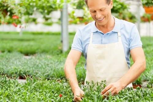 Secure online payment methods for tree surgeons in Chelsea