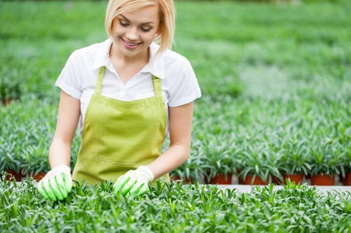 Load-based waste removal rates for tree surgery in Chelsea